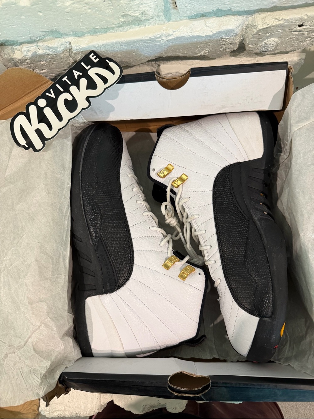Air Jordan Retro 12